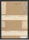 Surirella turgida W. Sm. (de-Toni-Nr.: Genus 53, Species 2237) Zeichnungen Sammlung Grunow Nr. 4661 (NHMW-BOT-W0372727)
